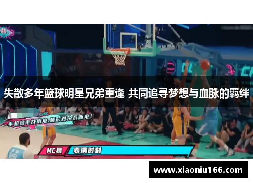 失散多年篮球明星兄弟重逢 共同追寻梦想与血脉的羁绊