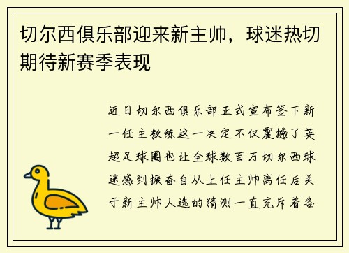 切尔西俱乐部迎来新主帅，球迷热切期待新赛季表现