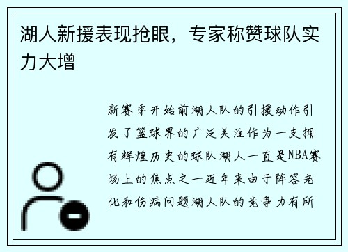 湖人新援表现抢眼，专家称赞球队实力大增